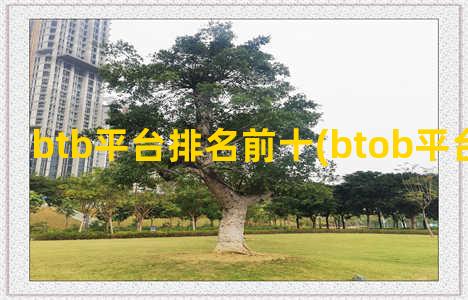 btb平台排名前十(btob平台排名最新)