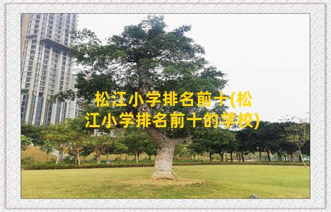 松江小学排名前十(松江小学排名前十的学校)