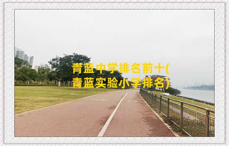 青蓝中学排名前十(青蓝实验小学排名)